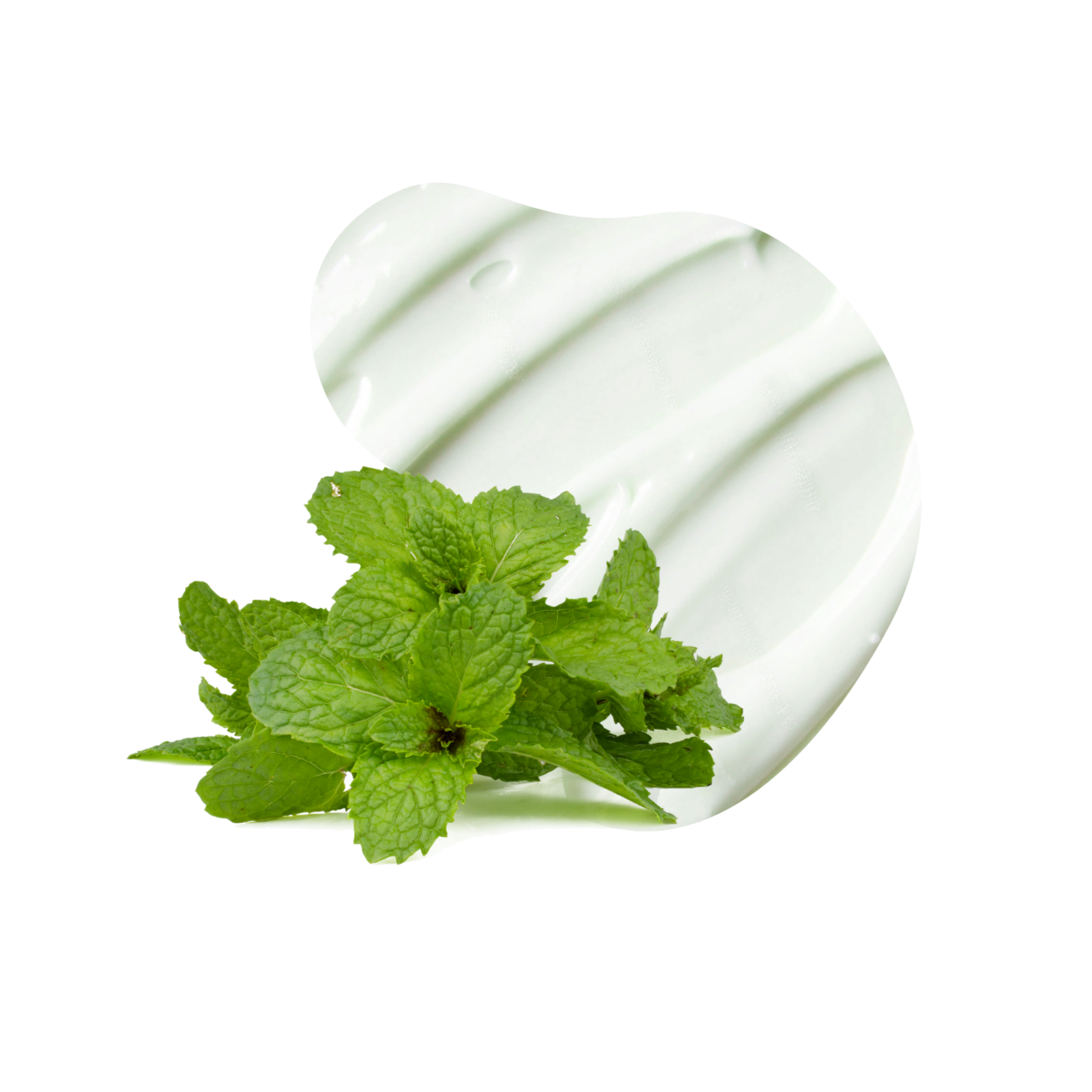 FOOT LOTION PEPPERMINT