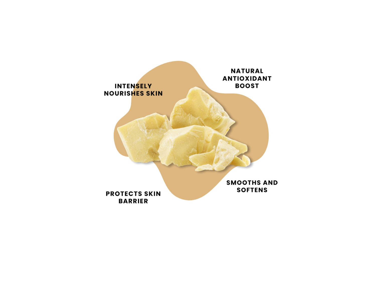 BODY BUTTER COCOA