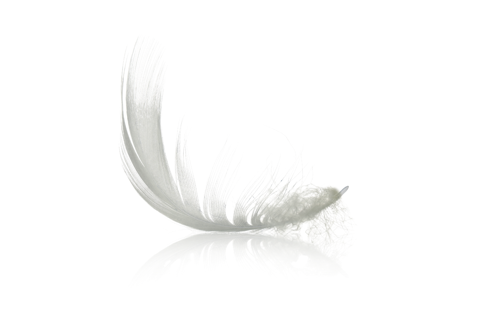 BODY BUTTER FOR SENSITIVE DRY SKIN