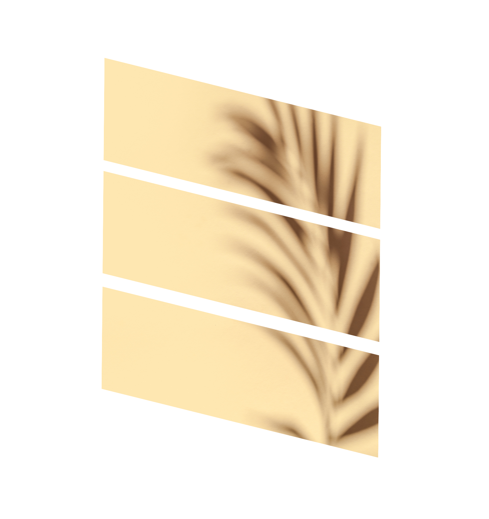 AFRICAN BLACK SOAP FACE AND BODY WASH